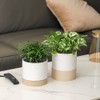 Nihow Self Watering Plant Pot: 6 Inch Ceramic Planter with