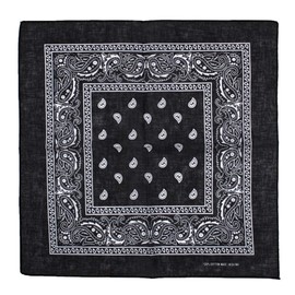 Zac's Alter Ego Retro Vintage Style Cowboy Paisley Bandana/Neckerchief/Durag