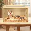 24" Hamster Cage, Top Opening Lockable Roof Door Gerbil Cage,