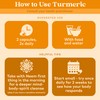 ORGANIC INDIA Turmeric Curcumin Herbal Supplement - Joint Mobility &