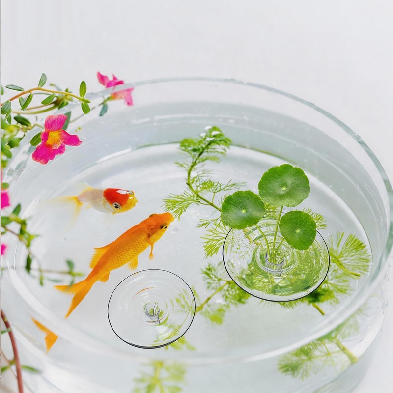 10 PCS Creative Mini Floating Aquarium Plant Holder, Clear Round