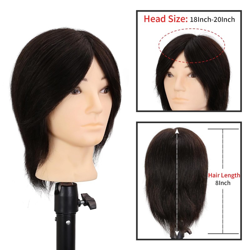 Male Mannequin Head 8 Inch Barber Mannequin Head for Cutting