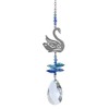 Wild Things Crystal Fantasy Hanging Cascade Suncatcher/Rainbow Maker + 38mm