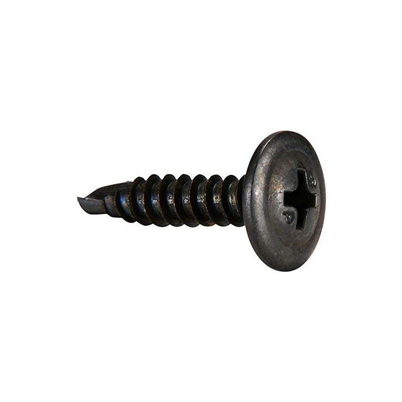 Shorpioen 100-Pack #8-18 x 1 Phillips Modified Truss Self Drilling