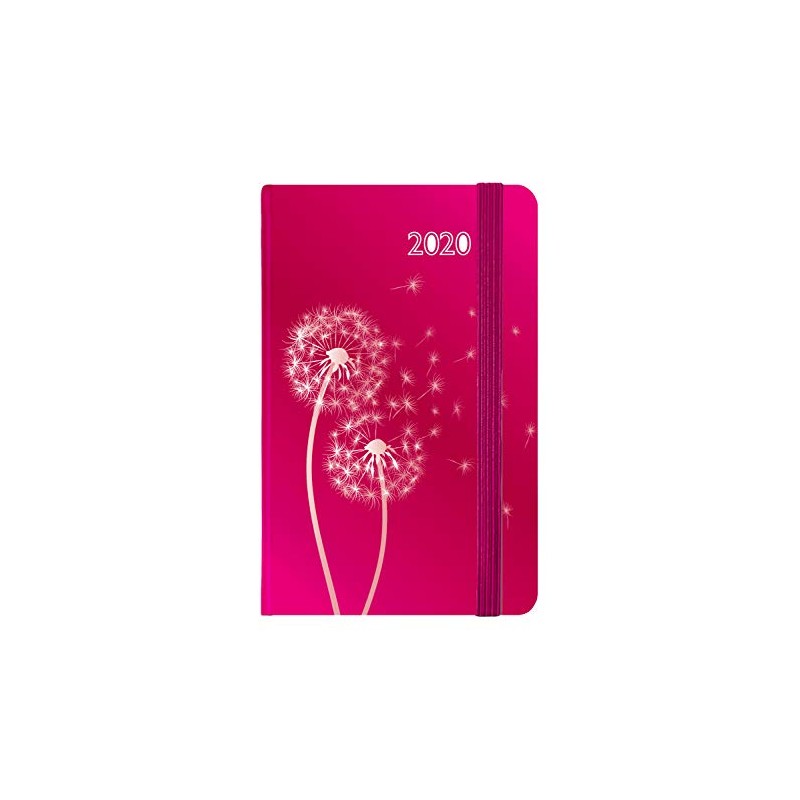Idena 11428 - Motif Agenda 2020 - Personal Organiser, 9