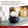 Airomé White Flower, Porcelain Passive Essential Oil Diffuser (with 15ml