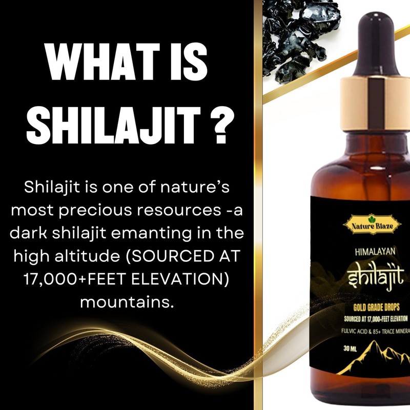 Nature Blaze Himalayan Shilajit (Drops 30Ml / 1.0 Oz)