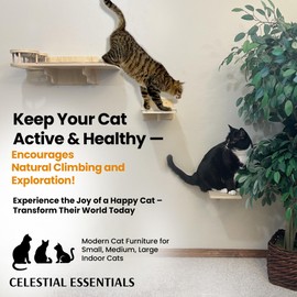 Cat Wall Shelves by CELESTIAL ESSENTIALS –Modern Wall-Mounted Cat Climbing Shelves with Bowls, Steps, Hammock, Soft Cover, Spacious Perching Shelf, Sturdy Furniture Gift, Special Sale!