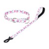 haoyueer Dog Collar and Leash Set, Slip Collar with Stop