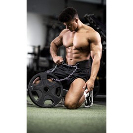 Fitgriff® Dip Belt with Chain + 2 Carabiners, Dip Belt for Bodybuilding, Strength Training, Weightlifting - Weightlifting Belt, Weight Belt (Black, One Size)