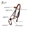 Exion Premium English Leather Figure 8 Bridle with Silver Clincher