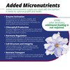 Jack's Classic 12-36-14 African Violet Water-Soluble Fertilizer with Micronutrients for