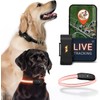 PAJ GPS – Collar LED+GPS Tracker Perros, 3 Meses Suscripción