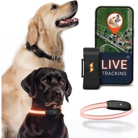 PAJ GPS – Collar LED+GPS Tracker Perros, 3 Meses Suscripción Premium, Negro