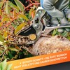 GRÜNTEK SILVERCUT Professional Bypass Secateurs Pruning Garden Shear 230mm, Blade