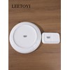 LEETOYI Ceramic Dishes and Plates, 4-Piece Dinnerware Set, Dinner Plates