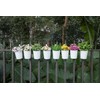 Dahey 10 Pcs Hanging Flower Pots Metal Iron Bucket Planter