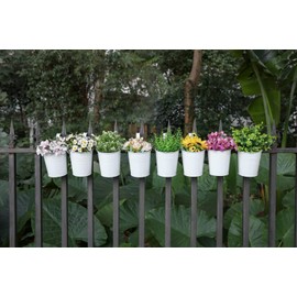 Dahey 10 Pcs Hanging Flower Pots Metal Iron Bucket Planter for Railing Fence Balcony Garden Home Decoration Flower Holders with Detachable Hooks, White, 5 inches