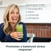 Superalimento Orgánico Ancient Nutrition SuperGreens con Probióticos y Enzimas en