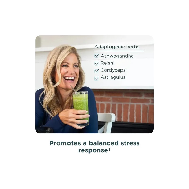 Superalimento Orgánico Ancient Nutrition SuperGreens con Probióticos y Enzimas en