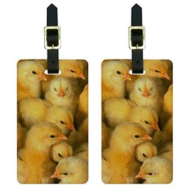 Baby Chickens Chicks Luggage Tags Suitcase Carry-On ID Set of 2
