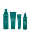 Aveda Botanical Repair™ Strengthening Quad Bundle