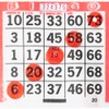 Dabbin' Fever Bingo Daubers One Dozen 3 Ounce Ink Dabbers