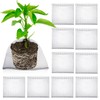 10 Pcs Root Guard Gopher Proof Wire Basket Stainless Steel