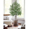 Hollyone Faux Olive Tree 6.7FT Tall Artificial Tree in Pot