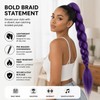 Purple Hair Extension Set - Purple Ponytail Extension - Mesh