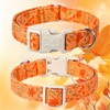 Maca Bates Fall Dog Collar Red Maple Leaf Print Autumn