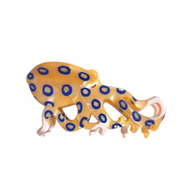 Cute Small Blue-Ringed Octopus Hair Clips,Novelty Acetate Ocean Element Claw Clip