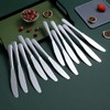Berglander Dinner Knives Set Of 12, Stainless Steel Shiny Mirror