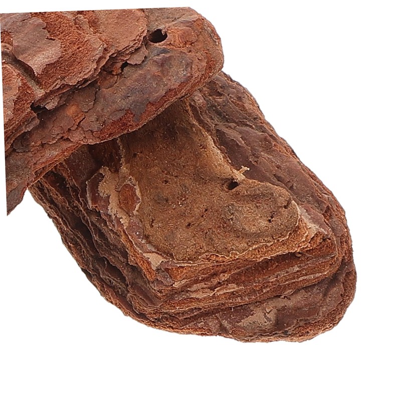 TEHAUX 1 Pack Natural Bark Scenery Materials for Micro Landscape
