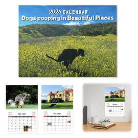 CHIHOLEN Calendar 2026 Dogs in Beautiful Places Funny Wall Calendar 2026 Funny Humour Gag Gifts for Birthdays Christmas