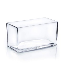 WGV Rectangle Block Glass Vase, Width 4", Length 8", Height 4", Clear Long Floral Container, Candle Holder for Home Office Wedding Decor, 1 Piece