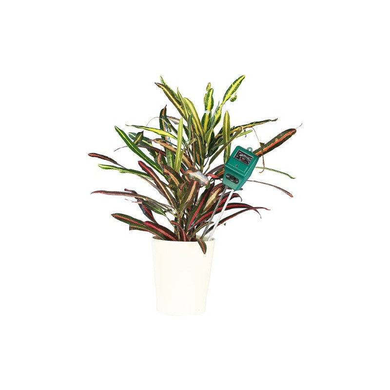 Royal Gardineer Plant Sensor: Set of 2 3-in-1 Combination Soil