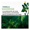 Crema Para Manos Hidratante Vainilla Bourbon Yves Rocher30ml
