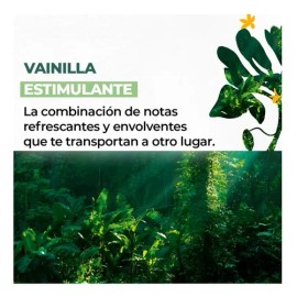 Crema Para Manos Hidratante Vainilla Bourbon Yves Rocher30ml                                                                                          
