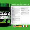 Scitec Nutrition, Amino BCAA + Glutamine Xpress 113958 300g 0.3
