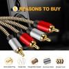 2RCA to 2RCA Cable 6ft, Hanprmee Gold-Plated [Copper Shell] [Heavy