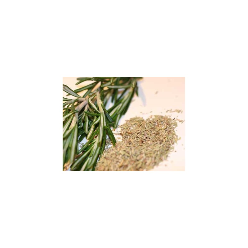 Ground Rosemary Dried Herb Catering Shaker Jar 400g (Ideal for