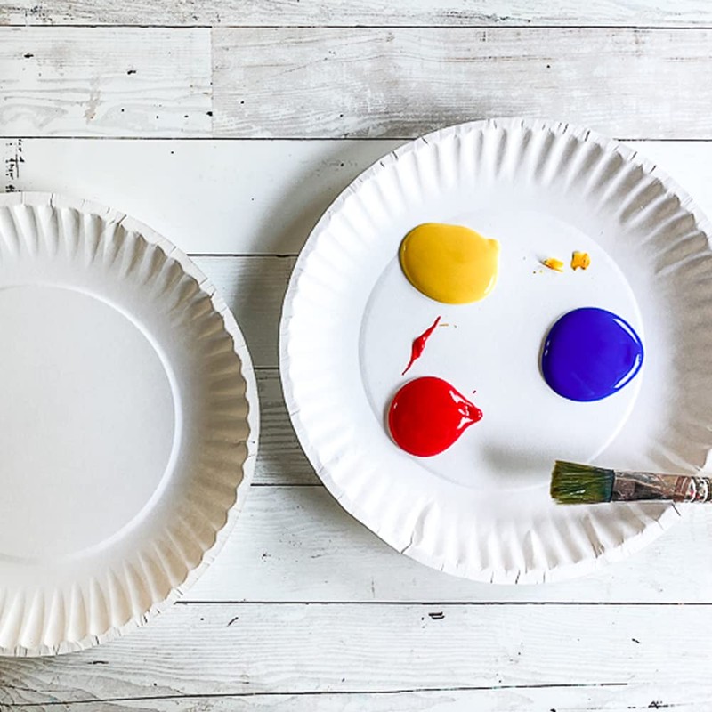 G4GADGET Paper Plates 23cm - 9inch Paper Plates, Disposable Plates,