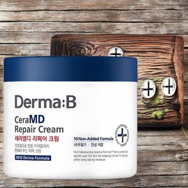 Dermabee Skin Texture Skin Moisture Skin Whitening CeraMD Repair Cream 2 x 430ml / 더마비 피부결 피부수분 피부미백 세라엠디 리페어 크림 2개 430ml