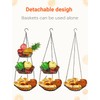 WILLIZTER 3 Tier Hanging Basket with Sturdy Metal Chain Hanging
