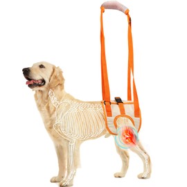 UYBNBVD Arnés de Elevación para Perro Ligero y Transpirable,Arnés Acolchado Ajustable para Patas Traseras de Perro.para Ayudar a los Perro Mayor o Discapacitado a Caminar, Subir y Bajar Escalera (L)