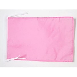 AZ FLAG - Plain Pink Flag 18'' x 12'' cords - Pink Solid color Small flags 30 x 45cm - Banner 18x12 in - Drapeau Unicolore Rose
