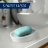 Zest Jabón en barra Aqua 450 g