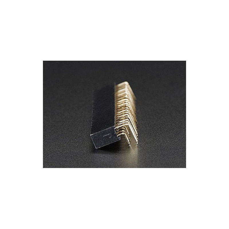 Adafruit 0.1" 2x20-pin Strip Right Angle Female Header [ADA2823]