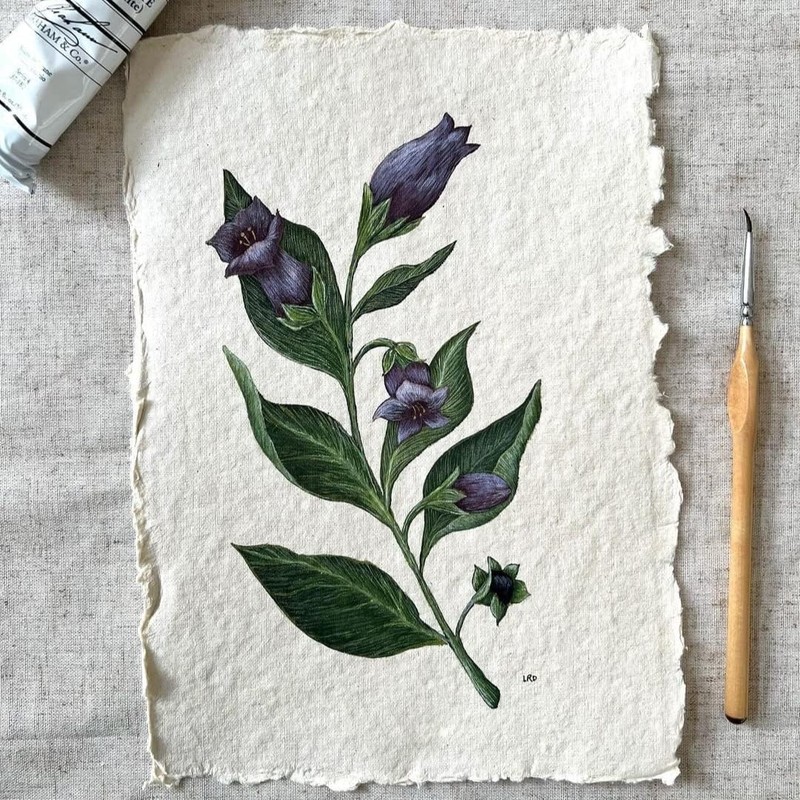 400 GSM / 25 Sheets - Rough/Textured Watercolor Drawing/Sketching Paper